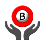 Braillo Braille Printer Support Services
